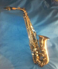 GLORY Engraved Flower Design High Grade Antique Finish Series PR4, E Flat Alto Saxophone with 11reeds,8 Pads Cushions,case,carekit 46 7117myUJaL