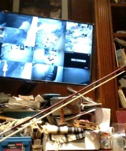 SKY 4/4 Full Size SKYVN201 Solid Maple Wood Violin with High Quality Lightweight Case, Brazilwood Bow, String, Rosin and Mute 48 7117rXWbIpL