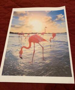 Canon PIXMA MG3620 Wireless All-In-One Color Inkjet Printer with Mobile and Tablet Printing, Red, 17.7 (W) X 12.0 (D) X 6.0 (H) 22 7118fuTv5qL