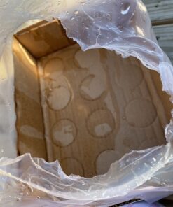 Bang Energy Purple Guava Pear, Sugar-Free Energy Drink, 16-Ounce (Pack of 12) 16 Fl Oz (Pack of 12) 35 711Bekxu5aL