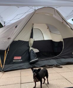 Coleman Red Canyon 8-Person Camping Tent, Weatherproof Family Tent Includes Room Dividers, Rainfly, Adjustable Ventilation, Storage Pockets, Carry Bag, & Quick Setup Black 42 711BnjLGeZL