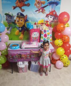 American Greetings Nickelodeon, Paw Patrol Scene Setter Wall Decorations for unisex-children, 5-Count 25 711BurtaxL