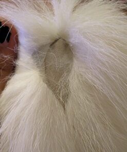 Fosrion Fluffy White Gray Arctic Fox Tail Fur Halloween Cosplay Alopex Lagopus KeyChain 42 711Cw0qTXcL
