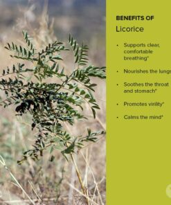 Banyan Botanicals Licorice Root Powder, 1/2 Pound - USDA Organic - Glycyrrhiza glabra - Ayurvedic Herb for Lungs, Skin, & Stomach … 8 Ounce (Pack of 1) 9 711EvJZ23nL