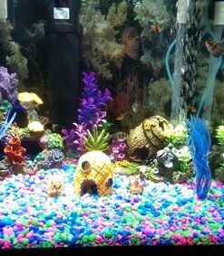 SunSun JUP-01 9W UV Sterilizer Submersible Filter Pump 70 711FxI3NlqL