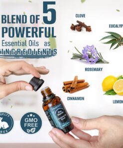Natural Riches Five Guards Essential Oil Blend for Health Shield Aromatherapy with Clove Cinnamon Lemon Rosemary Eucalyptus Oil - 30ml 1 Fl Oz (Pack of 1) 19 711IJ6jT0BL
