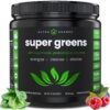 NutraChamps Super Greens Powder Premium Superfood | 20+ Organic Green Veggie Whole Foods | Wheat Grass, Spirulina, Chlorella & More | Antioxidant, Digestive Enzyme & Probiotic Blends 9 Ounce (Pack of 1) 15 711JypQmzjL