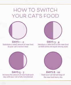 Purina Fancy Feast Dry Cat Food with Savory Chicken and Turkey - 12 lb. Bag Chicken & Turkey 12 Pound (Pack of 1) 33 711K63Dx9aL