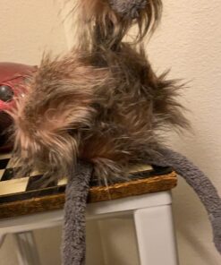 Jellycat Mad Pet Odette Ostrich Stuffed Animal, Medium, 20 inches 19 711KngQwVNL