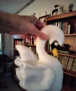 Fairfield The Original Poly-Fil, Premium Polyester Fiber Fill, Soft Pillow Filler, Stuffing for Stuffed Animals, Toys, Cloud Decorations, and More, Machine-Washable, 5 lbs. Box, White 5 lb 36 711KrBHdDgL