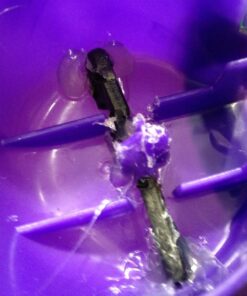 Gazillion Tornado Bubble Machine - Kids Bubble Blower - Blows 4500 Bubbles per Minute - Ideal for Outdoor Fun & Parties - Includes 4 oz. Gazillion Bubble Non-Toxic Solution Green 28 711Me5MZ9WL 1