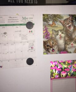 Creative Hobbies Ceramic Industrial Magnets - 1 Inch (25mm) Round Disc - Ferrite Magnets Bulk for Crafts, Science, Refrigerator or Whiteboard - 25 Piece Pack 23 711SQXyOb8L