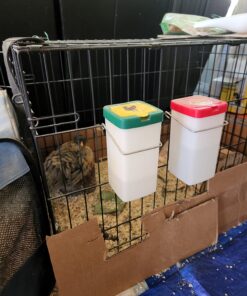 Olba B.V. Plastic Drinking Bottle with Hinged Lid, 1 Litre 11 711Sjp08FtL