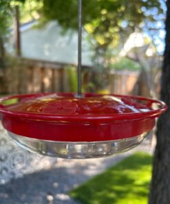 Kaytee Hummingbird ElectroNectar Wild Bird Food, Ready to Use, 64 Ounces 64 oz Ready To Use 31 711W4M3EdL