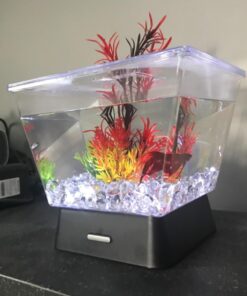 Tetra LED Betta Tank Kit 1 Gallon, Trapezoid aquarium With Base Lighting (24050) 37 711WNbIWPxL