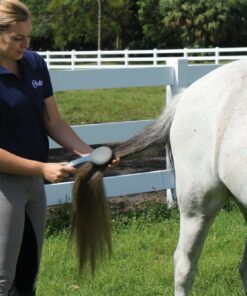Oster Equine Care Series Mane & Tail Horse Brush, Blue (078399-140-001) 0 8 711WceTlnML