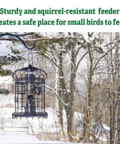 Gardener's Supply Company Edwardian Cage Bird Feeder | Sturdy Squirrel-Proof Outdoor Hanging Hummingbird Feeder with 6 Feeding Ports | Best for Finches & Other Small Birds 11 711Wsywj9oL