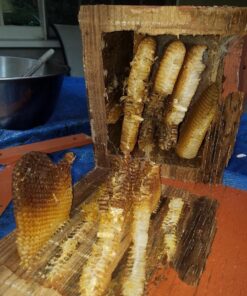 Beesworks Yellow Beeswax Pellets (1 lb) | 100% Pure, Cosmetic Grade, Triple-Filtered Beeswax for DIY Skin Care, Lip Balm, Lotion, and Candle Making 1 Pound (Pack of 1) 37 711YFFhopLL