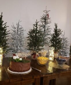 Ella Celebration The Adventure Begins Wooden Wedding Cake Topper, IMPROVED Arrow Rustic Wood Decoration 8 Inch Width (Adventure Begins) 29 711YTRBF7FL