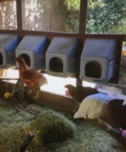 Little Giant® Plastic Chicken Nesting Box | Chicken Nest Box for Laying Hens | Chicken Bed | Egg Laying Chicken Box | Chicken Perch | Nesting Box for Chicken Coops 24 711ZZQHe4yL