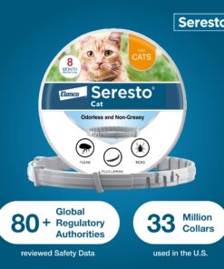 Seresto Cat Vet-Recommended Flea & Tick Treatment & Prevention Collar for Cats | 8 Months Protection 1 Pack Cat Only 28 711ZjtxsvNL