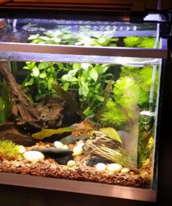 DIY CO2 Generator System Kit with Pressure Gauge Air Flow Adjustment Valve - Pressurized CO2 Kit for Aquarium Plants Tube Valve for Bottle - CO2 Regulator Aquarium for CO2 Diffuser - Grow System 51 711bjD6igWL