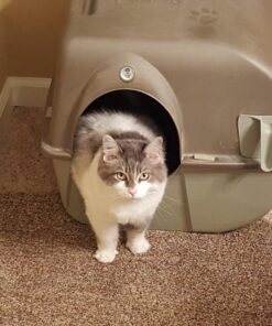 Omega Paw Self-Cleaning Litter Box, Pewter 51 711d1gBDWLL