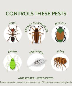 Garden Safe Insect Killer, 1-count 1 Pack 21 711edCZ4hvL