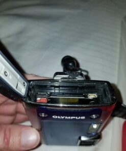 SanDisk Ultra 32GB Class 10 SDHC UHS-I Memory Card up to 80MB/s (SDSDUNC-032G-GN6IN) 21 711fo8v4pGL