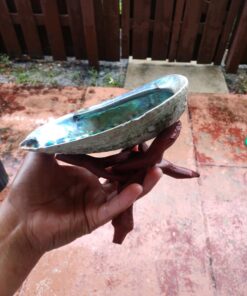 Natural Abalone (Pāua) Shell, with Stand,6-6.5 Inches,Supreme for Smudging,Cleansing Home,Meditation,Shell Crafts,Incense Holder,100% Natural, Sustainably Sourced by Ocean Shell Studios NZ 6"-6.5" 35 711gk2hvg6L
