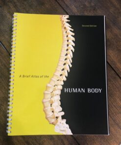 A Brief Atlas of the Human Body 10 711jxe22XJL