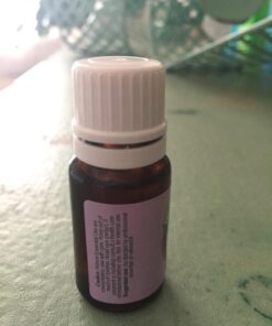 Healing Solutions 10ml Oils - Kashmir Lavender Essential Oil - 0.33 Fluid Ounces 0.33 Fl Oz (Pack of 1) 17 711n83wCkbL