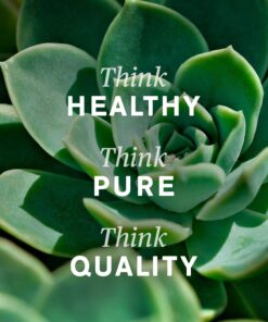 Nature's Sunshine Thyroid Activator 100 Capsules 15 711oDbiEBgL 1