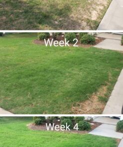 Scotts EZ Seed Patch and Repair Sun and Shade for Grass: Covers up to 225 sq. ft., 10 lb. 10 lb. 1 Pack 59 711oHOJ3OqL