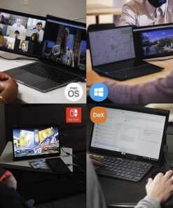 Portable Monitor for Laptops, New Mobile Pixels Duex Plus 13.3" Full HD IPS Dual Laptop Monitor, USB C/USB A Plug and Play Laptop Screen Extender,Windows/Mac/Android/Switch Compatible (Duex Plus) Duex Plus Only 35 711oXe4J7fL