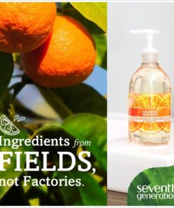 Seventh Generation Hand Wash, Mandarin Orange and Grapefruit, 12 Ounce (Pack of 6) Mandarin Orange & Grapefruit 12 Ounce (Pack of 6) 10 711osttf30L