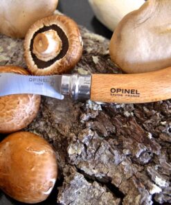 Opinel No. 08 Mushroom Knife – Pick + Clean Mushrooms, Beechwood Handle, Integrated Brush, Curved Sandvik Steel Blade, Made in France 23 711p2IsrWrL