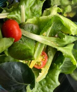 AeroGarden Classic 6 with Gourmet Herb Seed Pod Kit 43 711pDHFIsDL