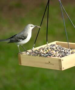 Wild Wings WWCF23 Cedar Tray Bird Feeder 49 711tUNRMdvL