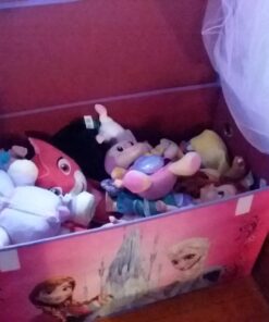 Idea Nuova Disney Frozen Collapsible Children’s Toy Storage Trunk, Durable with Lid 28 711vPfLi8EL