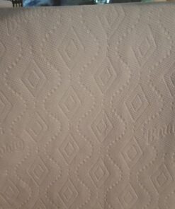 Bounty Paper Towels, 12 Pack 12 Count (Pack of 1) White 31 711xKuacqRL