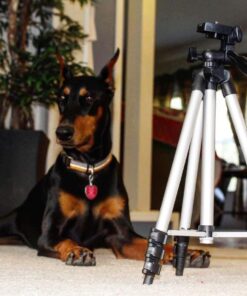 50 Inch Aluminum Camera Tripod for Canon, Nikon, Sony, Samsung, Olympus, Panasonic & Pentax + eCost Microfiber 40 711y KIem4L