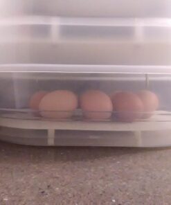 HBlife Digital Egg Incubator for Hatching 9-12 Chicken, Quail and Duck Eggs, with Fully Automatic Egg Turning and Temperature Display, Hatcher for Turkeys, Birds, Parrots and Poultry 43 711zmML9yL