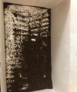 Luzianne Iced Tea Bags, Family Size, Unsweetened, 288 Tea Bags (6 Boxes of 48 Count Pack), Specially Blended for Iced Tea 48 Count (Pack of 6) 32 712 h5215tL