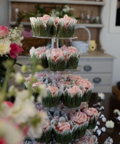 Jusalpha Large 5-Tier Acrylic Round Wedding Cake Stand/Cupcake Stand Tower/Dessert Stand/Pastry Serving Platter/Food Display Stand (5RF) Large 5 Tier with Base 29 712208YoVdL