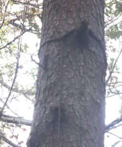 Hunter Safety System Reflective Lifeline for Tree-Stand Hunting Safety Harness 1-pack 15 7124R31i40L