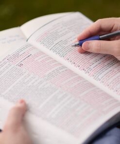 KJV Holy Bible, Giant Print Full-size Faux Leather Red Letter Edition - Thumb Index & Ribbon Marker, King James Version, Pink Leather Bound 38 7124YJ9SdYL 1