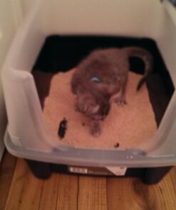 IRIS USA Open-Top Cat Litter Box with Shield and Scoop, Navy 41 7125GnRyqML