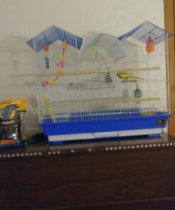 Prevue Hendryx Triple Roof Cockatiel Cage, Blue and White Blue & White 22 7125NVgwkNL 4