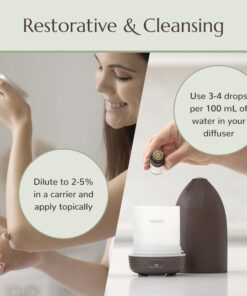 Plant Therapy Tea Tree Essential Oil 100% Pure, Undiluted, Natural Aromatherapy, Therapeutic Grade 30 mL (1 oz) 15 7126b L6T3L 2